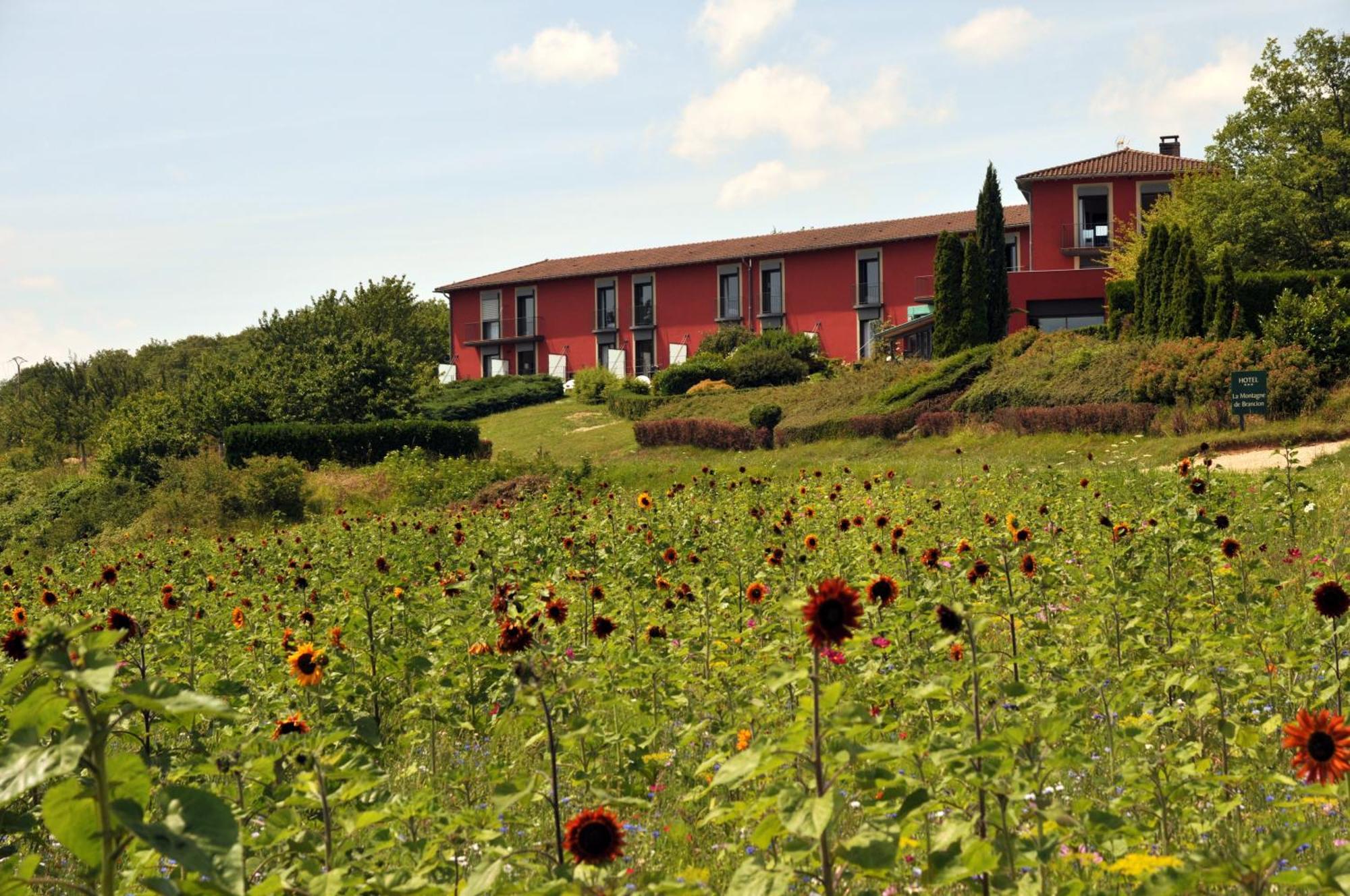 Hotel Restaurant La Montagne De Brancion Martailly-les-Brancion Exterior photo